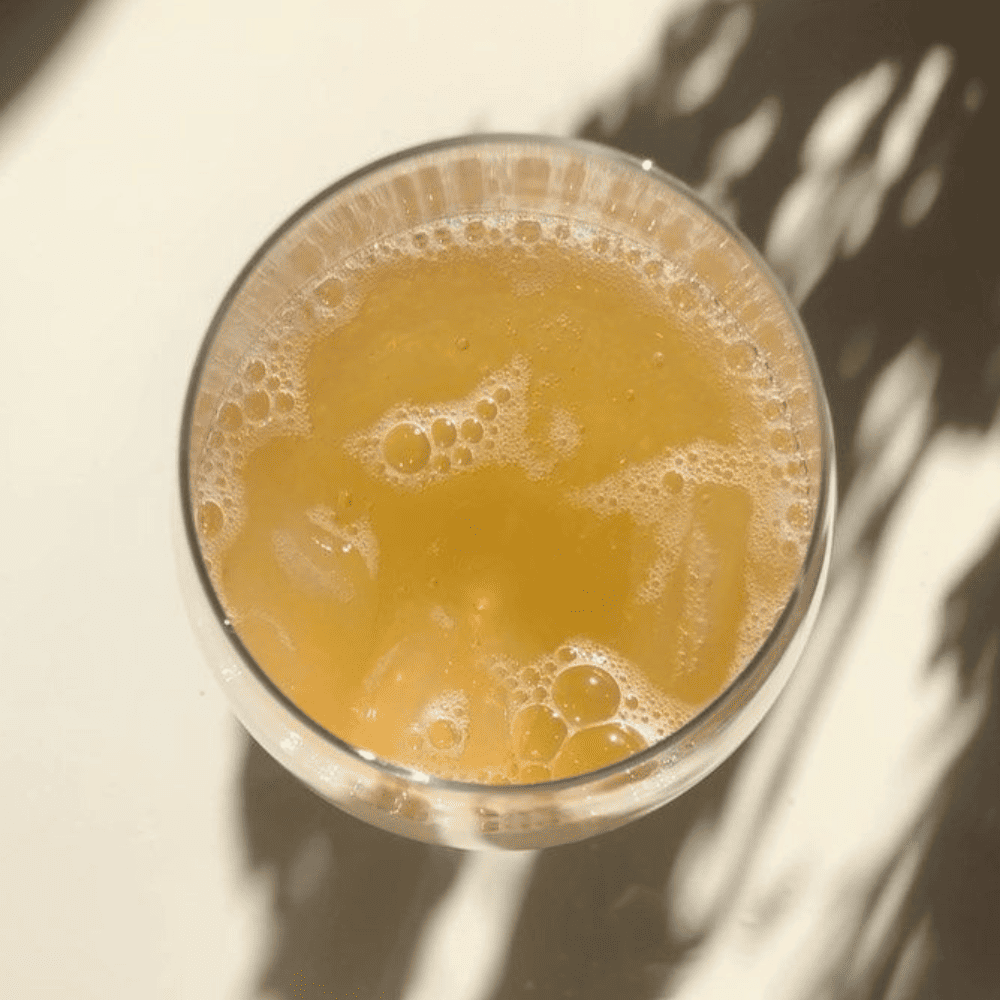 Kit Kombucha