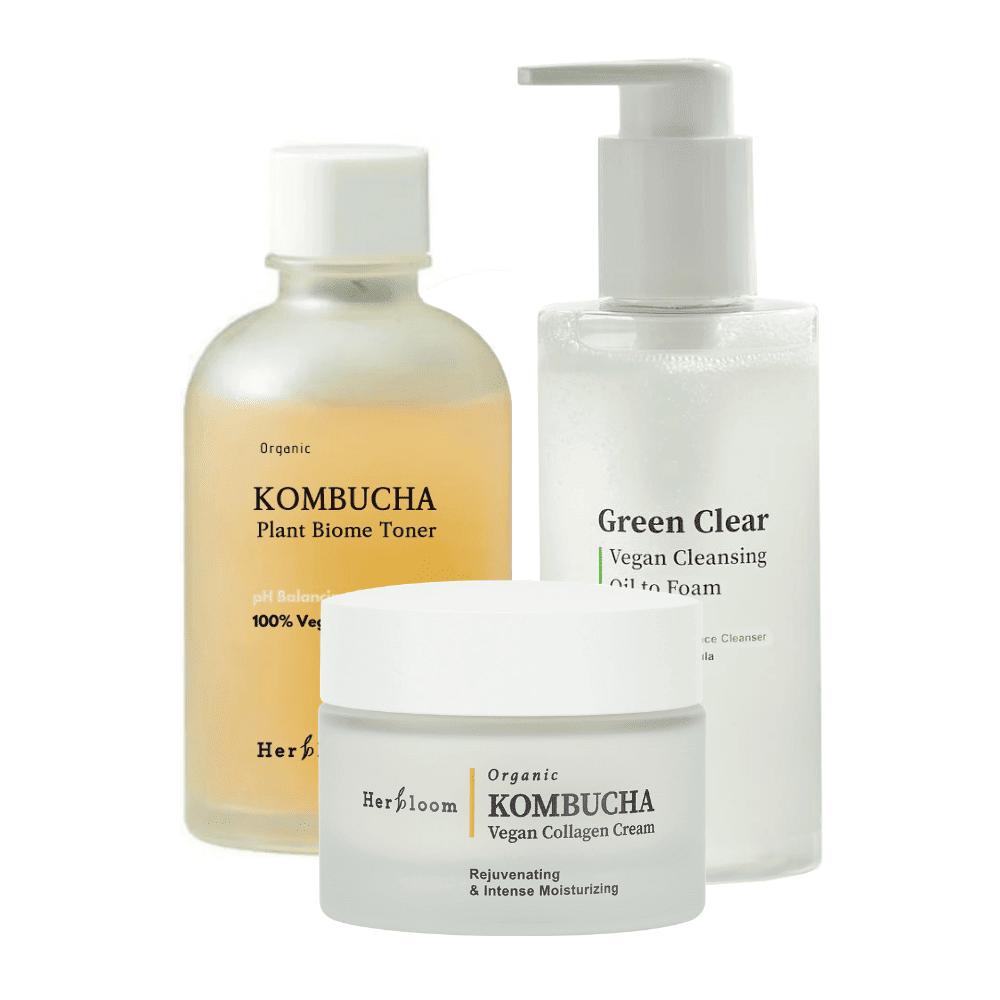 Kit Kombucha
