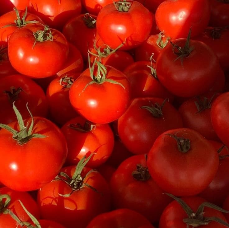Real Nature Mask Sheet - Tomato