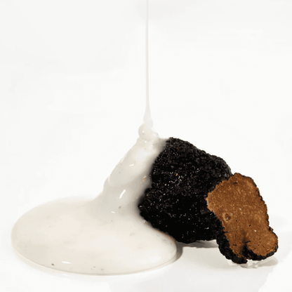 Black Truffle Reedle Shot 100
