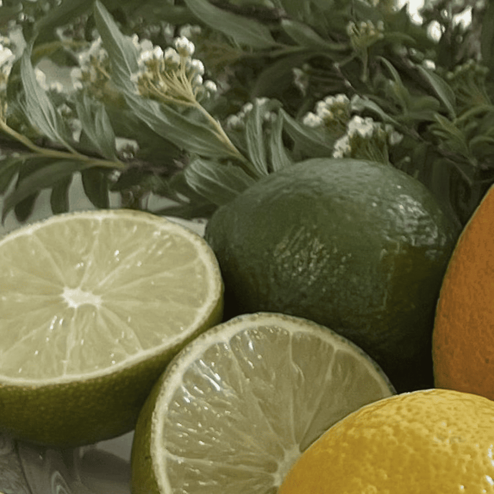 Gentle Dr Althea (Tratamiento con Vitamina C para pieles sensibles)