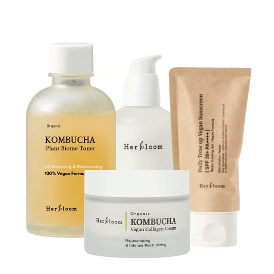 Kit Kombucha