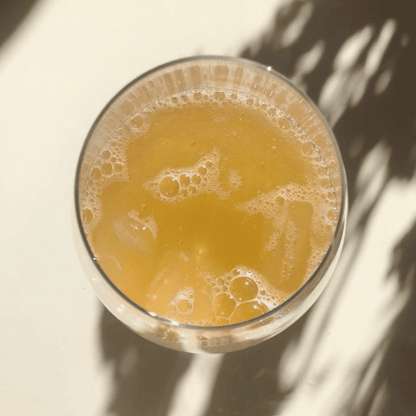 Kit Kombucha